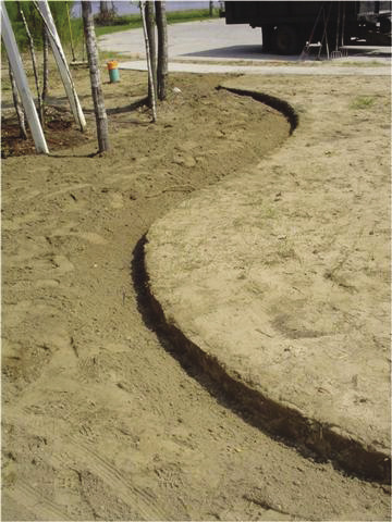 Curved bed lines in brown dirt.